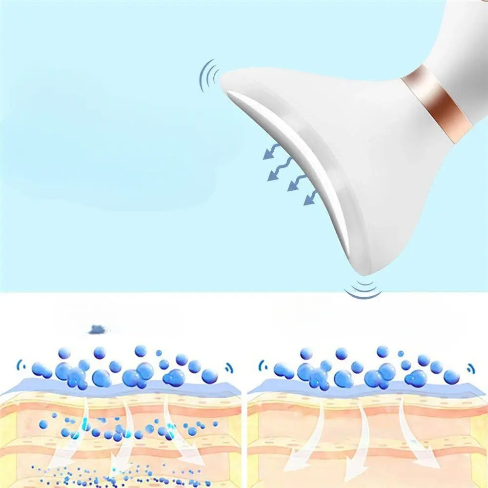 Masseur facial 3 en 1 AlphaSection